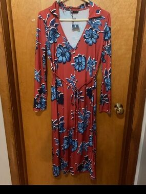 Zara Rust Maxi Dress with Blue Floral Print